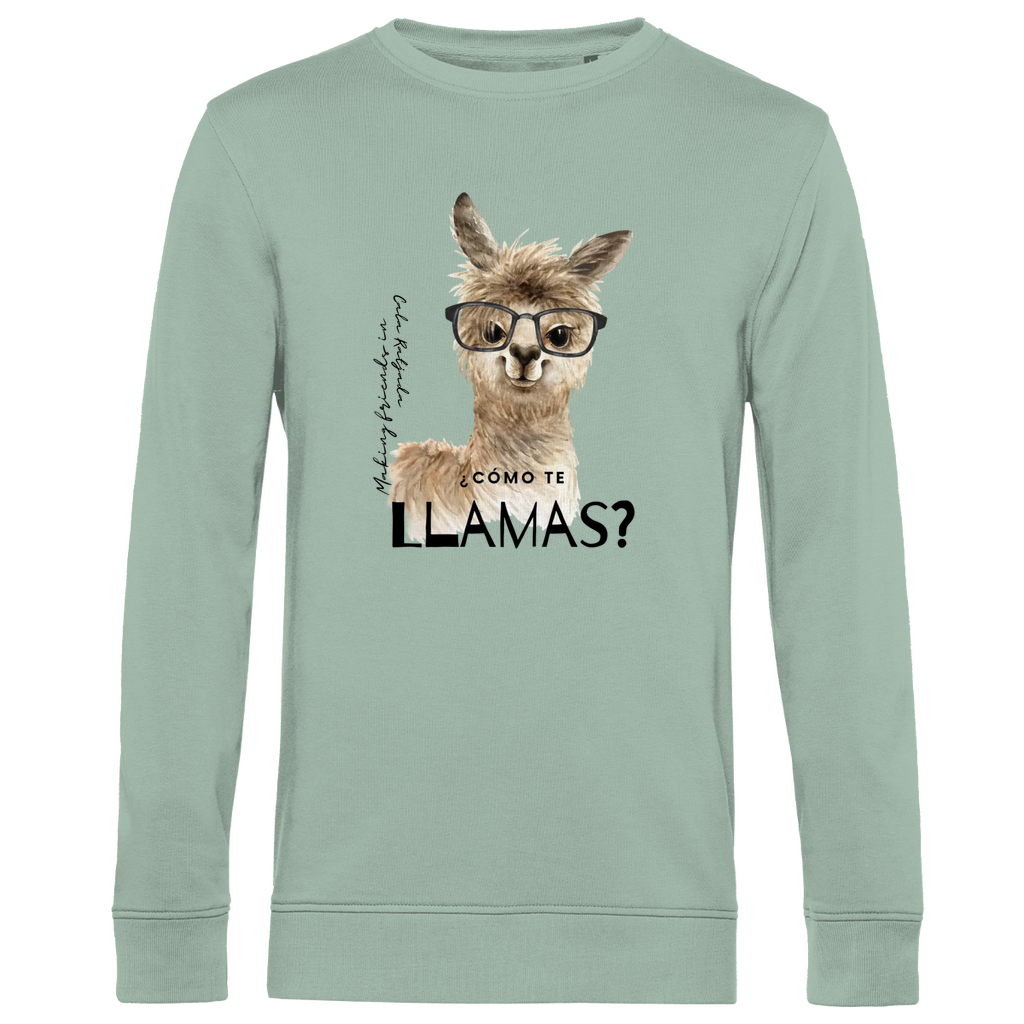 Cómo te llamas? • Premium Bio Sweatshirt • Chico